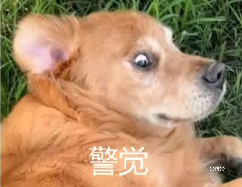【一台电脑当两台用！开启双用户独立登录，双屏办公实操教程】